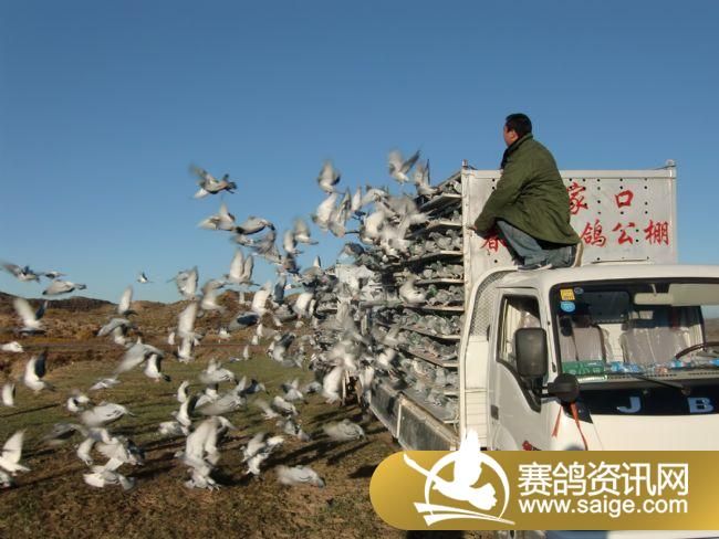 ���Ź���Ԥ��300����ŷɵ�ͼƬ