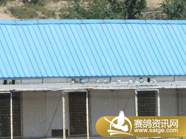 ���Ź���300����Ԥ�������ֳ�