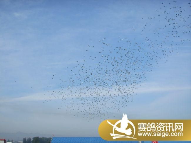 500�������ǰǿ�ɡ�ιʳ