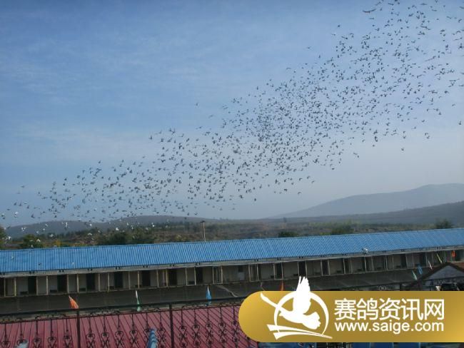 500�������ǰǿ�ɡ�ιʳ