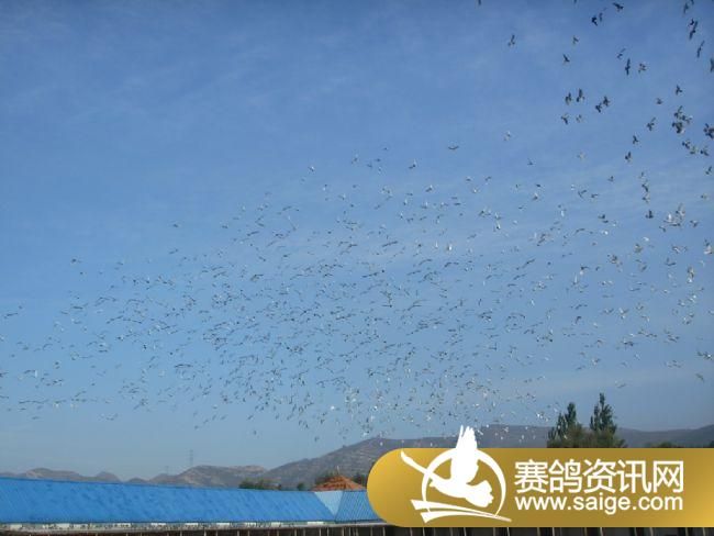 500�������ǰǿ�ɡ�ιʳ