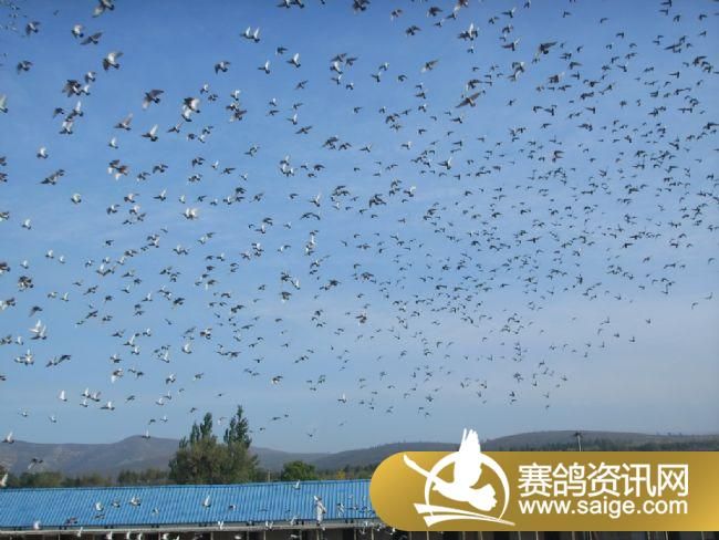 500�������ǰǿ�ɡ�ιʳ