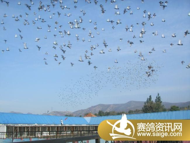 500�������ǰǿ�ɡ�ιʳ