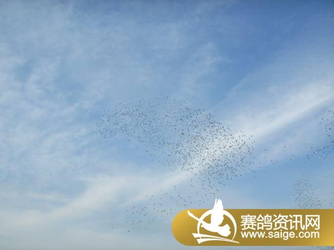 500�������ǰǿ�ɡ�ιʳ