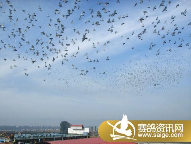 500�������ǰǿ�ɡ�ιʳ