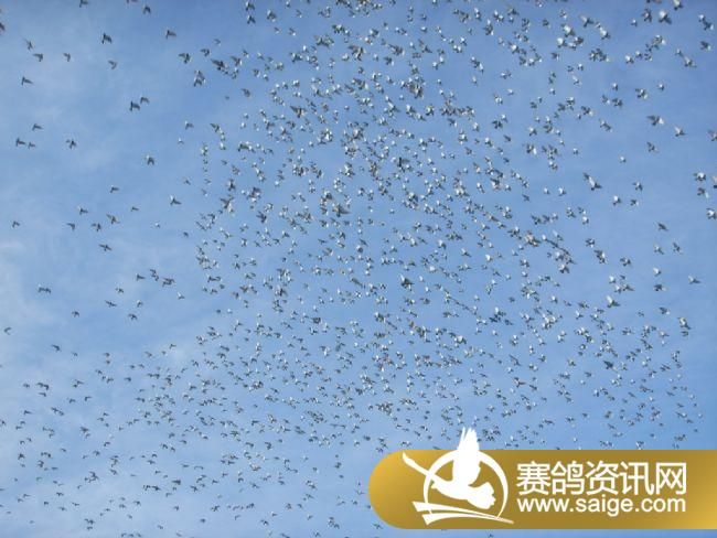 500�������ǰǿ�ɡ�ιʳ