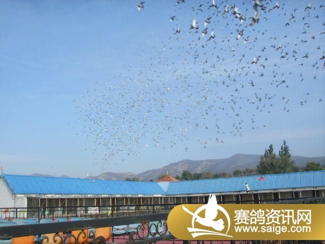 500�������ǰǿ�ɡ�ιʳ