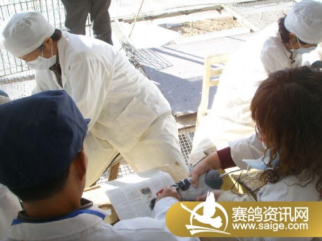 500��������