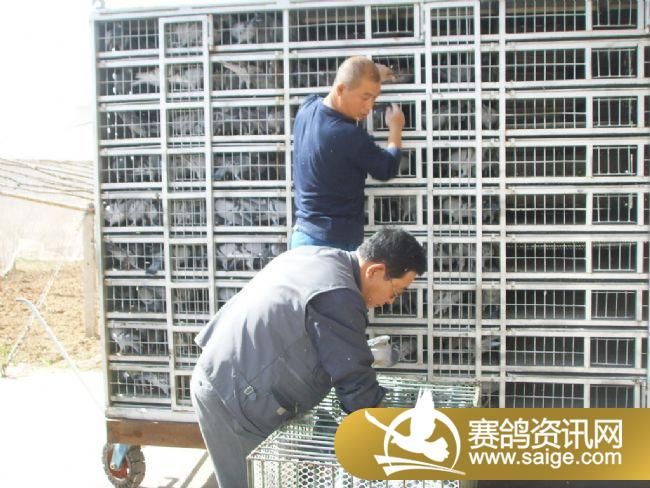 500��������