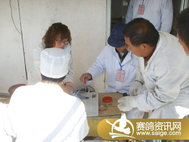 500��������