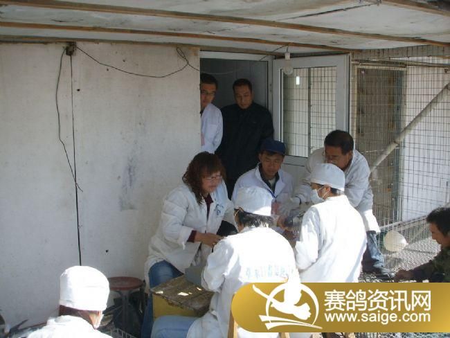 500��������