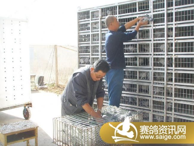 500��������