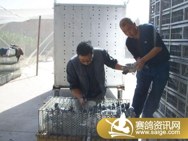 500��������