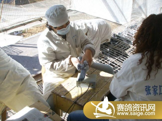 500��������