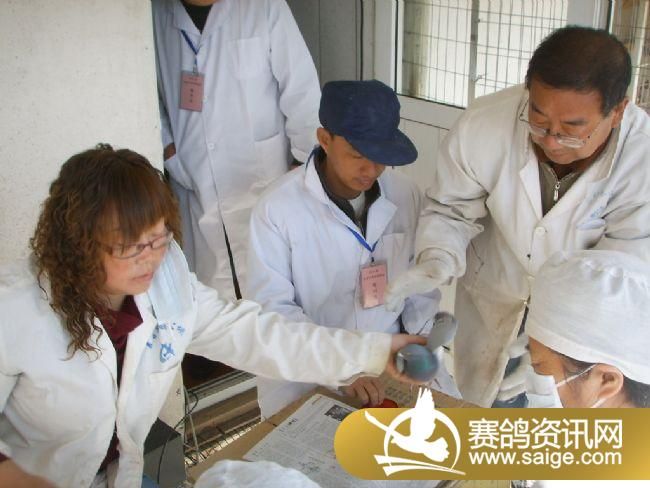 500��������