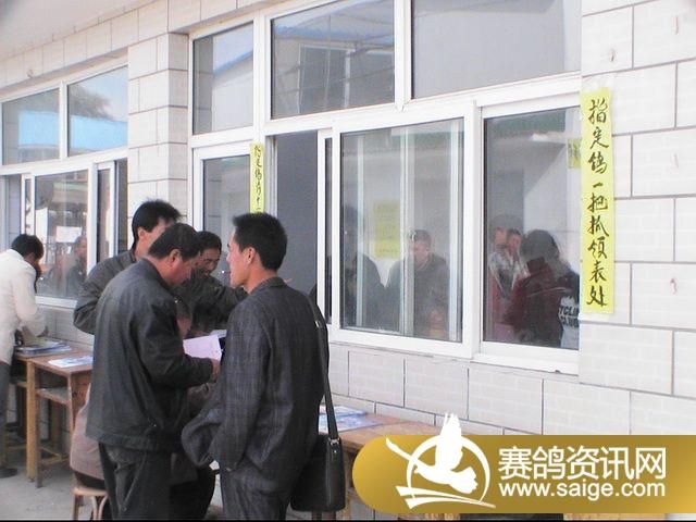 500�������ͼƬ