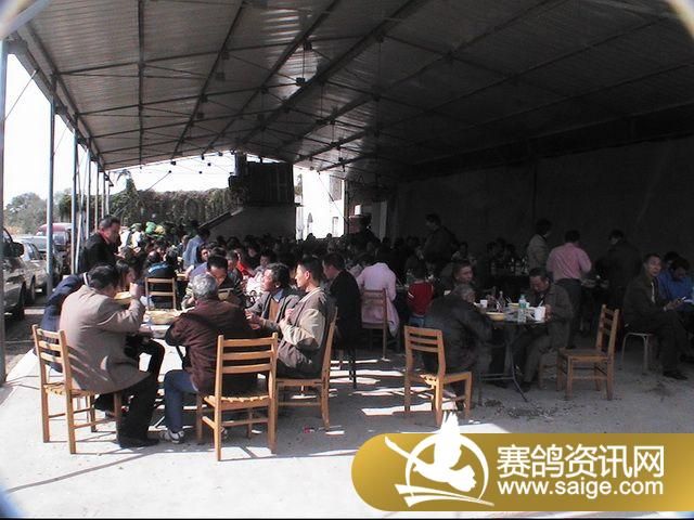 500�������ͼƬ