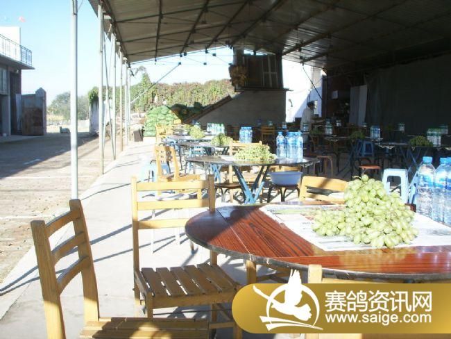 500�������ͼƬ