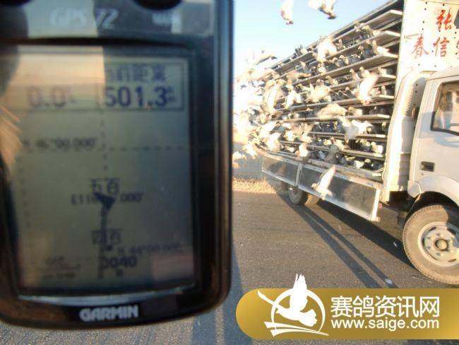 500�������ͼƬ