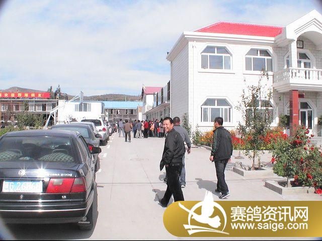 500�������ͼƬ