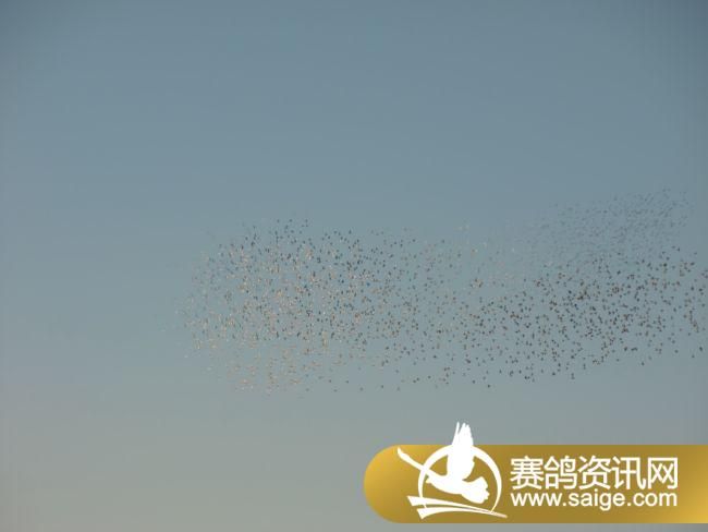 500�������ͼƬ