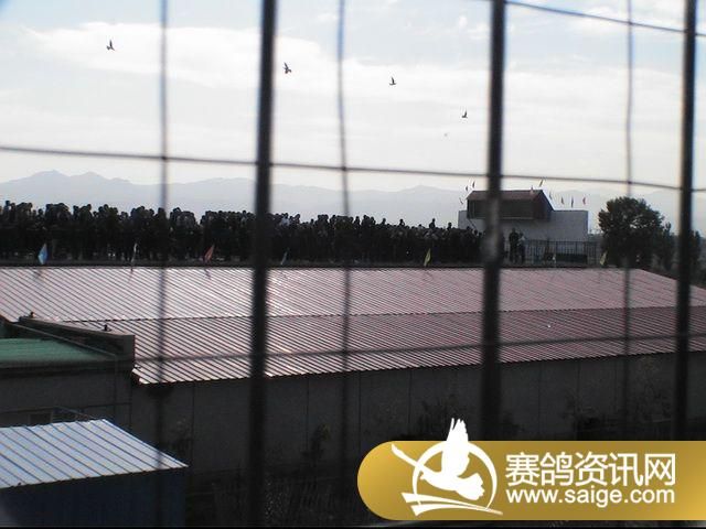 500�������ͼƬ