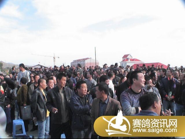 500�������ͼƬ