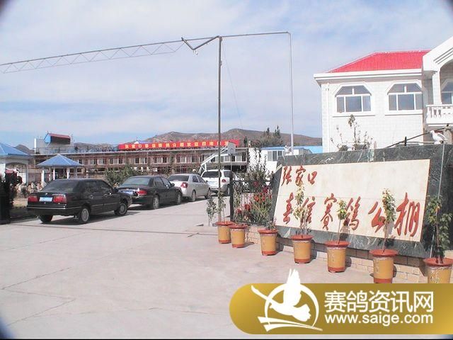 500�������ͼƬ