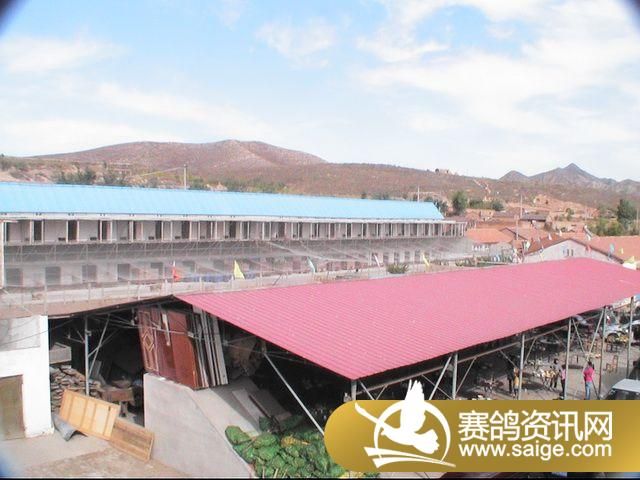 500�������ͼƬ