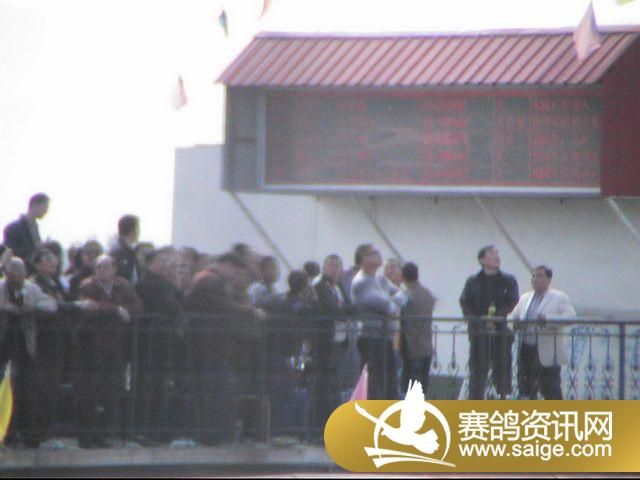 500�������ͼƬ