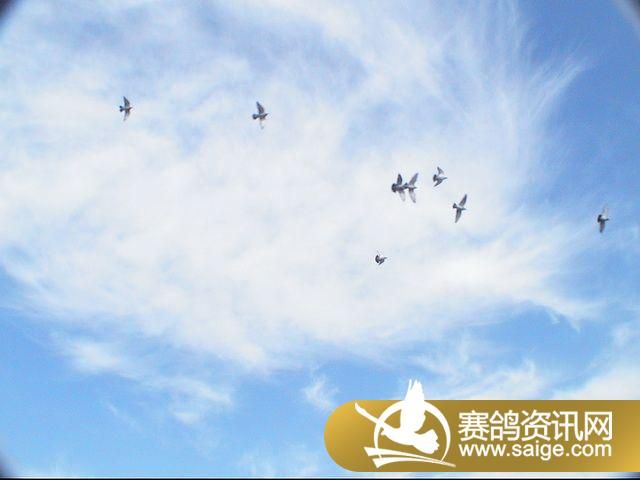 500�������ͼƬ