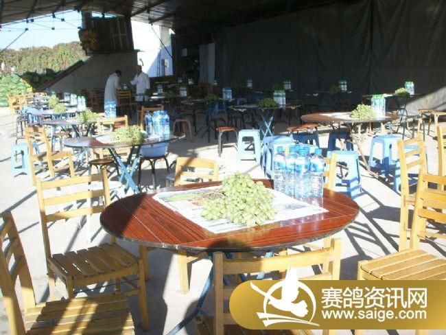 500�������ͼƬ