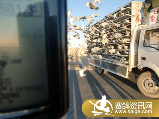 500�������ͼƬ