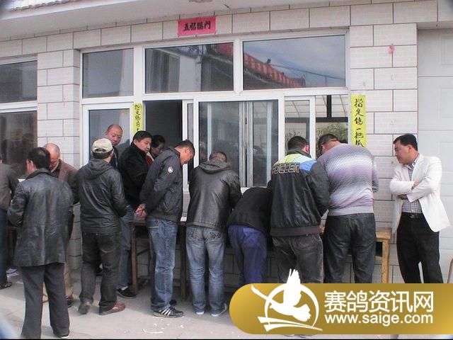 500�������ͼƬ