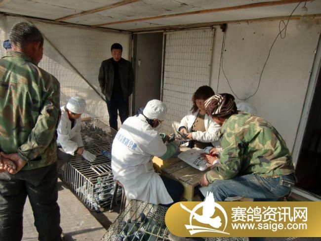 ���Ź���520�����ǿ�������ֳ�