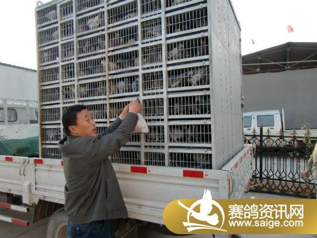 ���Ź���520�����ǿ�������ֳ�