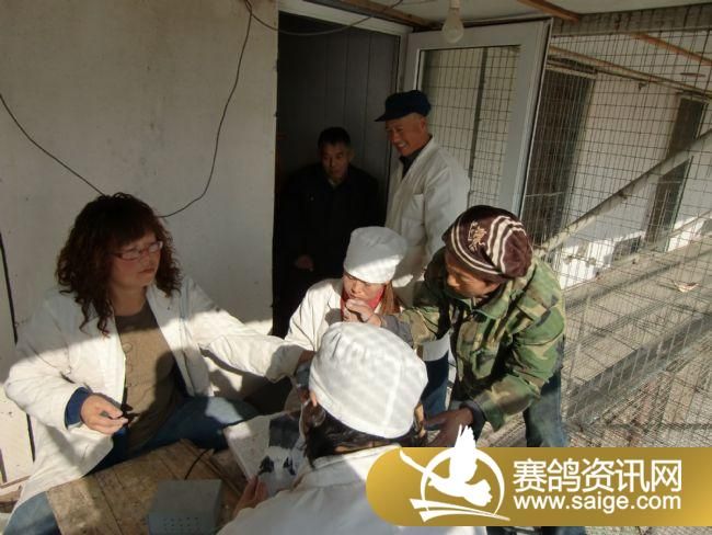 ���Ź���520�����ǿ�������ֳ�