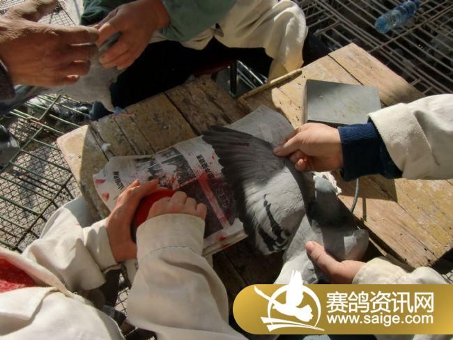 ���Ź���520�����ǿ�������ֳ�