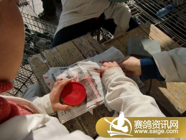 ���Ź���520�����ǿ�������ֳ�