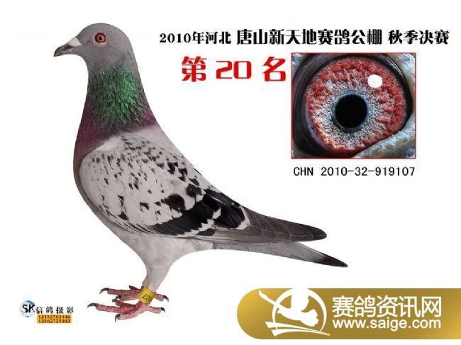 g_47e9df45-3b24-46c0-999e-682fbaeaceea.jpg