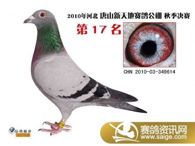 g_8cccf22a-529b-4454-b590-9887b40d1f2c.jpg