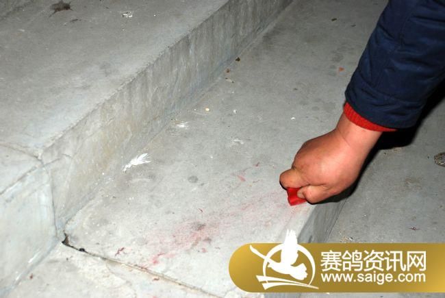 ����˾��ӡ��