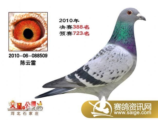 g_c47a4a4f-e90d-4743-a9f8-56a71a98533c.jpg