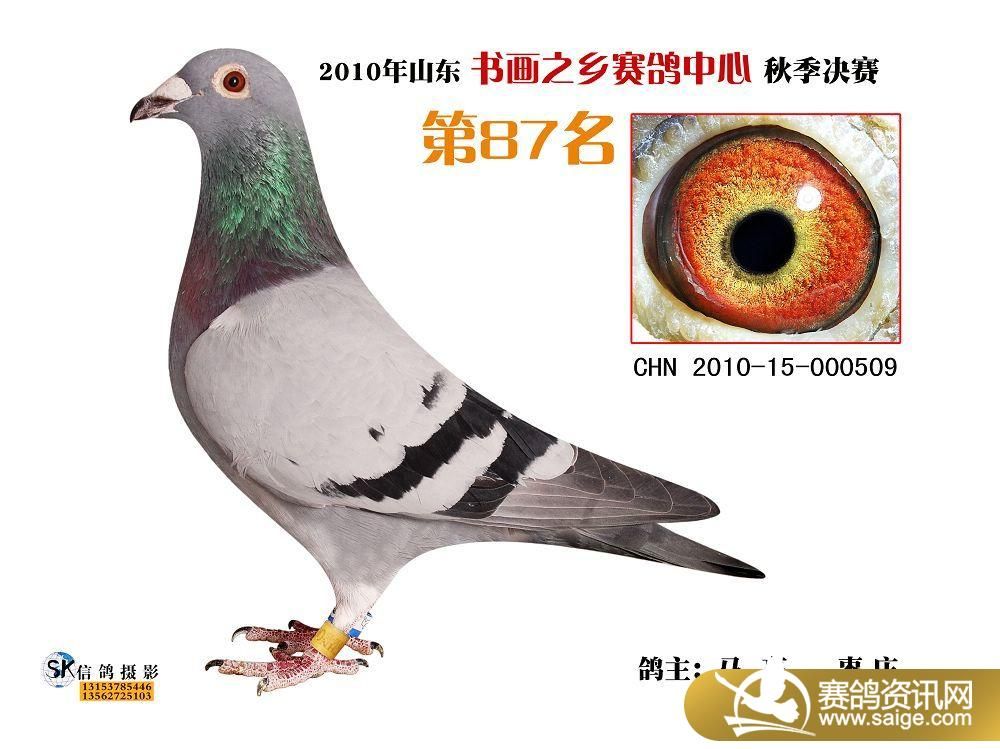 g_fde5a6d0-287a-46ad-8fbc-8db2425f394d.jpg