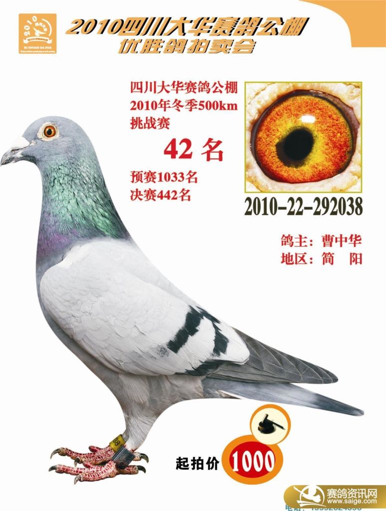 2010年四川大华赛鸽公棚优胜鸽拍卖会