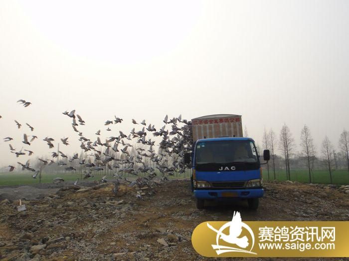 ���ս�������4��8��ѵ��ͼ