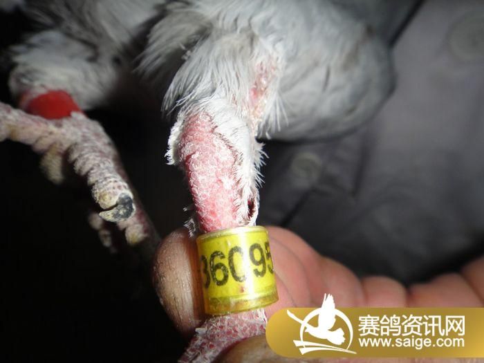 360955ʧȥ��������