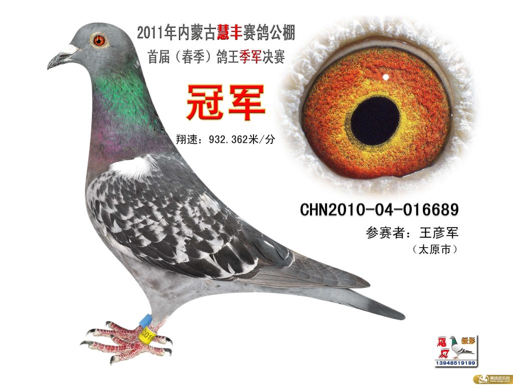 北京扬世杰