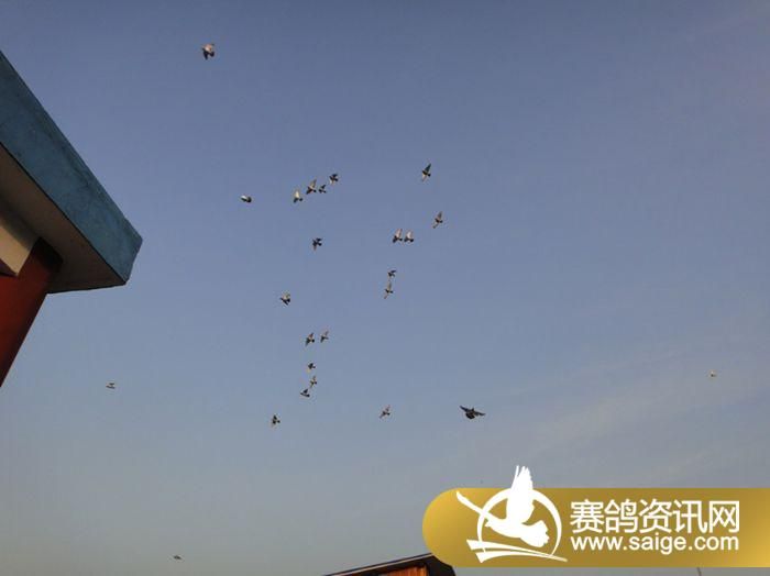 ���ս��������������ҽ�������