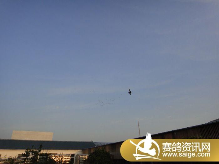 ���ս��������������ҽ�������